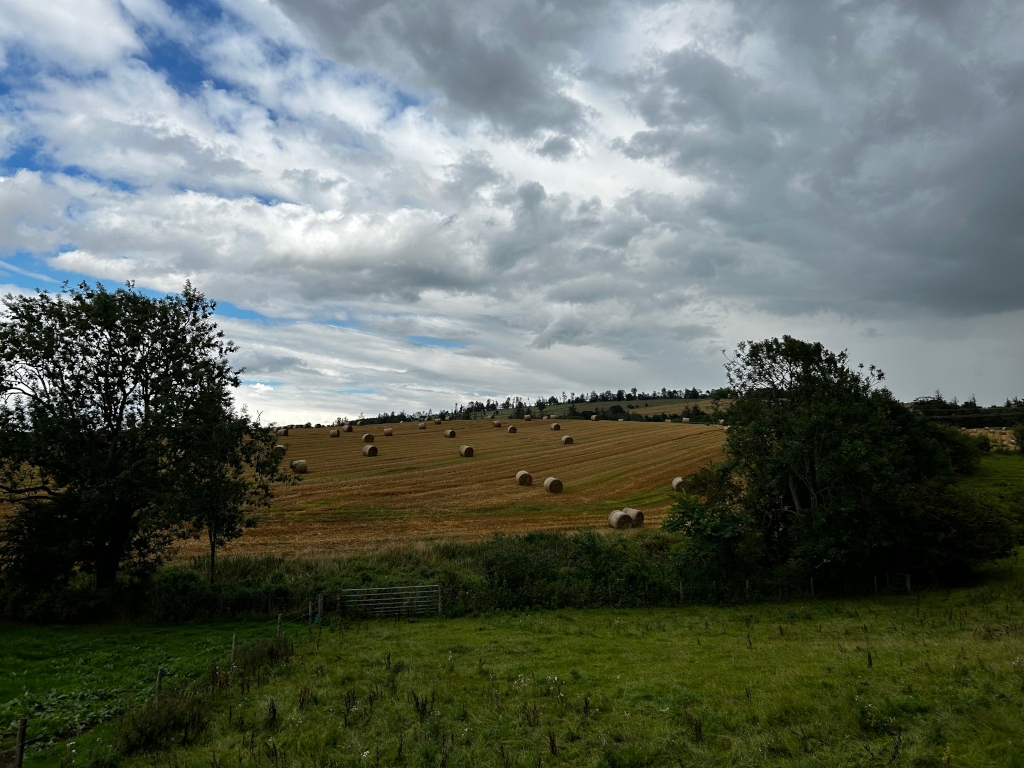 Gently sloping field, largely harvested and dotted with numerous round hay bales. The field extends upwards to a tree line on a hill under a dramatic, heavily clouded sky. The foreground shows a grassy area with some shrubs and a simple gate. Two prominent trees frame the view, one on each side. The overall mood is one of rural tranquillity despite the somewhat menacing sky.