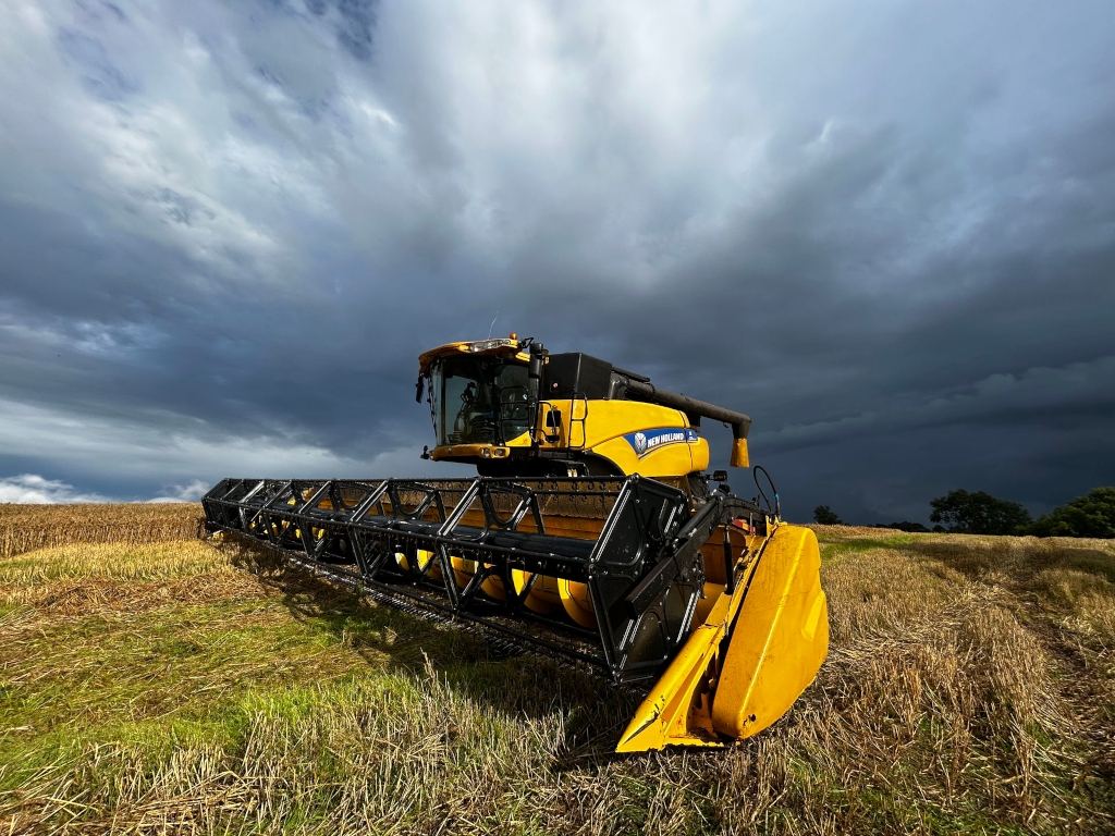 Yellow New Holland combine harvester in a field of harvested wheat or barley. The sky is dramatically overcast with dark, brooding clouds that suggest an impending storm. The contrast between the bright yellow of the machine and the dark, stormy sky is striking. The overall impression is one of a powerful machine working against the elements, suggesting the hard work and challenges of agriculture.