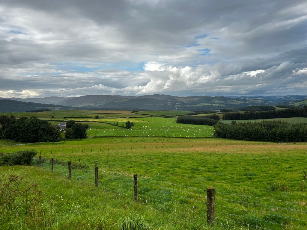 Picturesque pastoral landscape under a partly cloudy sky. Rolling green hills and fields, dotted with sheep, stretch into the distance. Darker green forests are interspersed with the fields. In the foreground, a wire fence runs along the bottom, separating the viewer from the pasture.