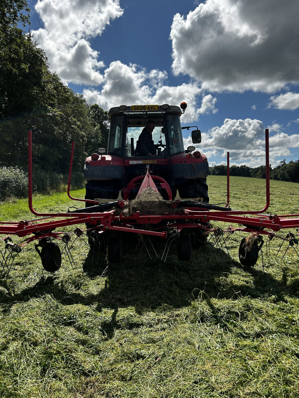 Red tractor with a hay tedder attached, working in a field of freshly cut grass under a partly cloudy sky. The tractor driver is visible through the cab window, silhouetted against the bright sunlight. The scene conveys a sense of rural life and agricultural work.