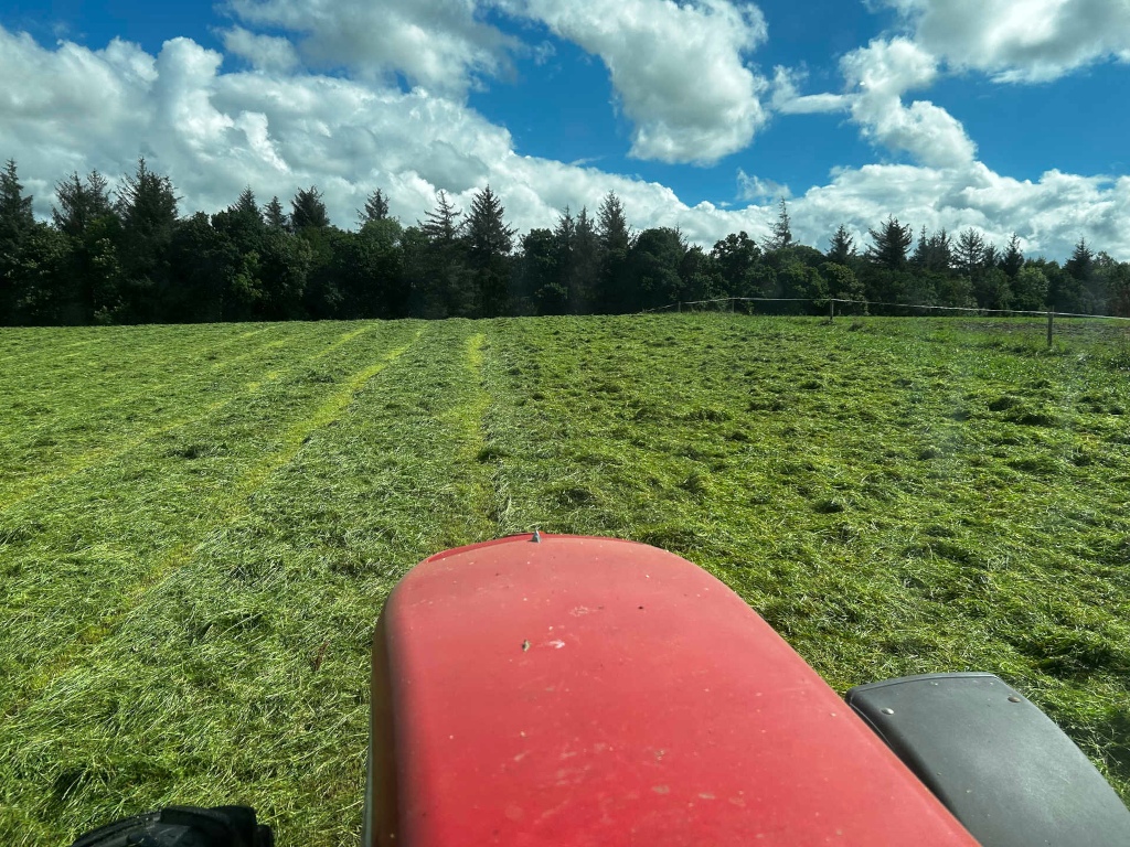 Freshly cut field of grass, viewed from the perspective of a red tractor. The grass is short and uniformly cut, with visible track marks from the tractor. In the background, a line of trees stands against a partly cloudy sky. 
