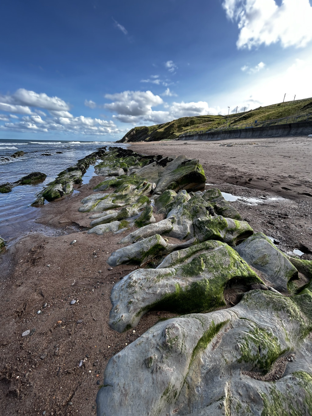 Coastal scene, likely in Scotland or North East of England, where a sandy beach meets a rocky shoreline. The focus is on a series of grey rocks, sculpted by the sea and partially covered in bright green algae. These rocks extend from the water's edge towards the sand, creating an interesting textural contrast. In the background, a grassy cliff and a relatively calm sea under a partly cloudy blue sky complete the scene. The overall impression is one of serene coastal beauty, highlighting the interplay of natural forces and time on the landscape.