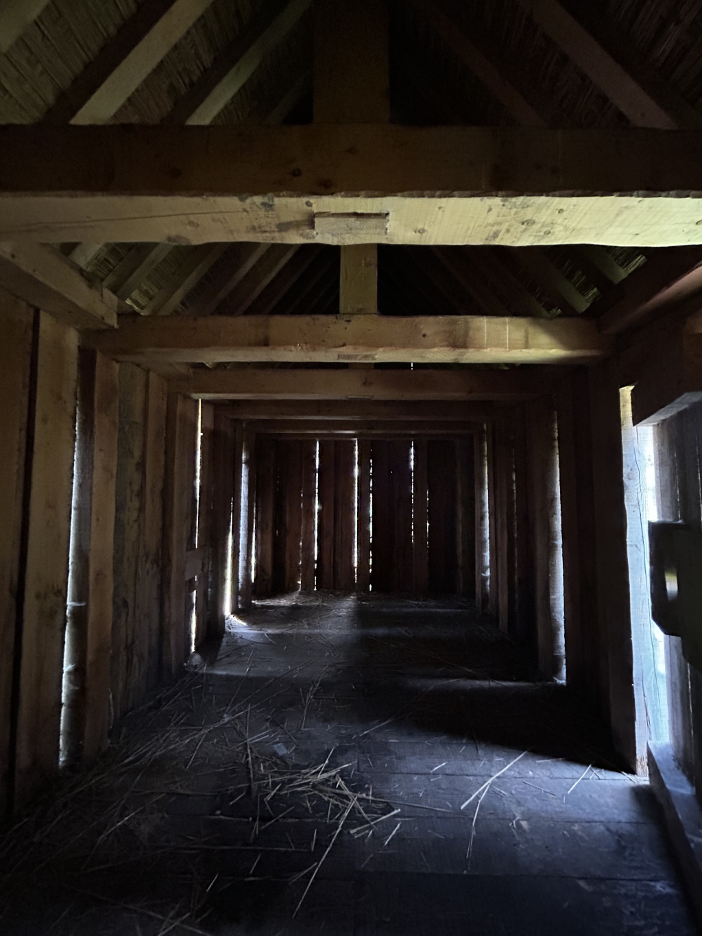 Dimly lit interior of a long, narrow structure, possibly a barn or shed. The structure is made of wood, with a thatched roof and vertical wooden walls. Light streams in through gaps in the walls, creating streaks of brightness on the dark floor, which is covered with scattered straw or hay. 