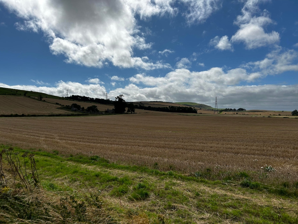 Wide, open expanse of harvested farmland under a partly cloudy sky. The foreground is a strip of unharvested, grassy land. In the mid-ground, the harvested fields stretch to a low hill in the distance. Power lines are visible on the horizon.