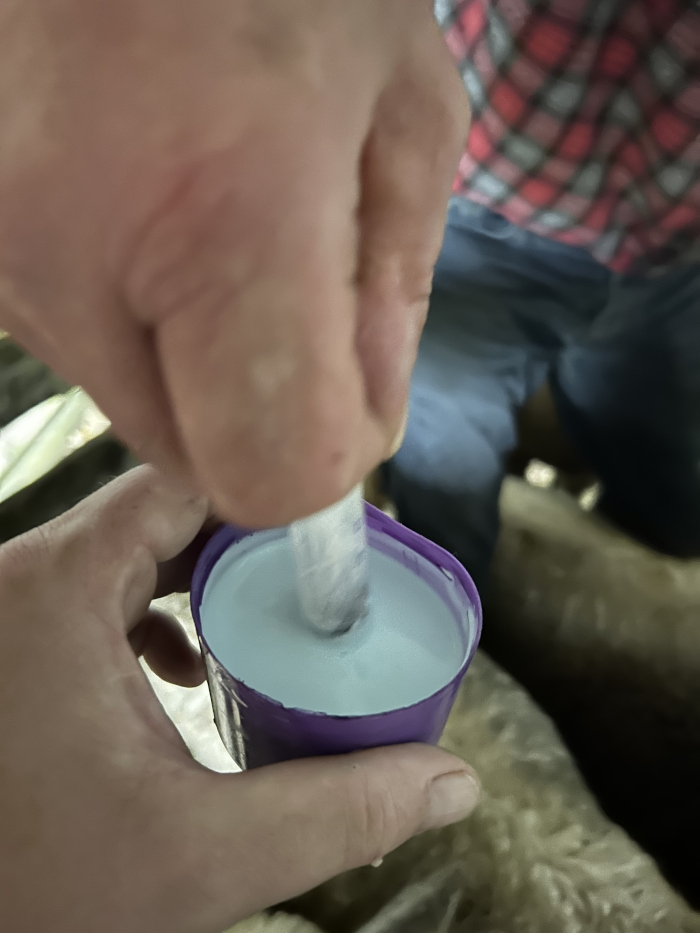 Leonie's hands holding a small purple cup filled with a light-blue, creamy substance. A white, cylindrical object is being pressed into the substance. The background is blurry, but shows Charlie wearing a red and black plaid shirt and blue jeans. The setting appears to be somewhat rustic and possibly agricultural.