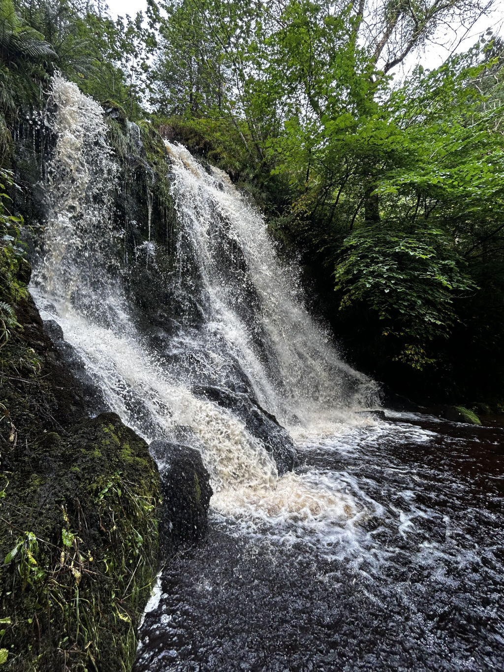 Waterfall cascading down moss-covered rocks into a dark pool of water. Lush green foliage frames the waterfall on either side. The water appears frothy and turbulent as it flows over the rocks and into the pool below.