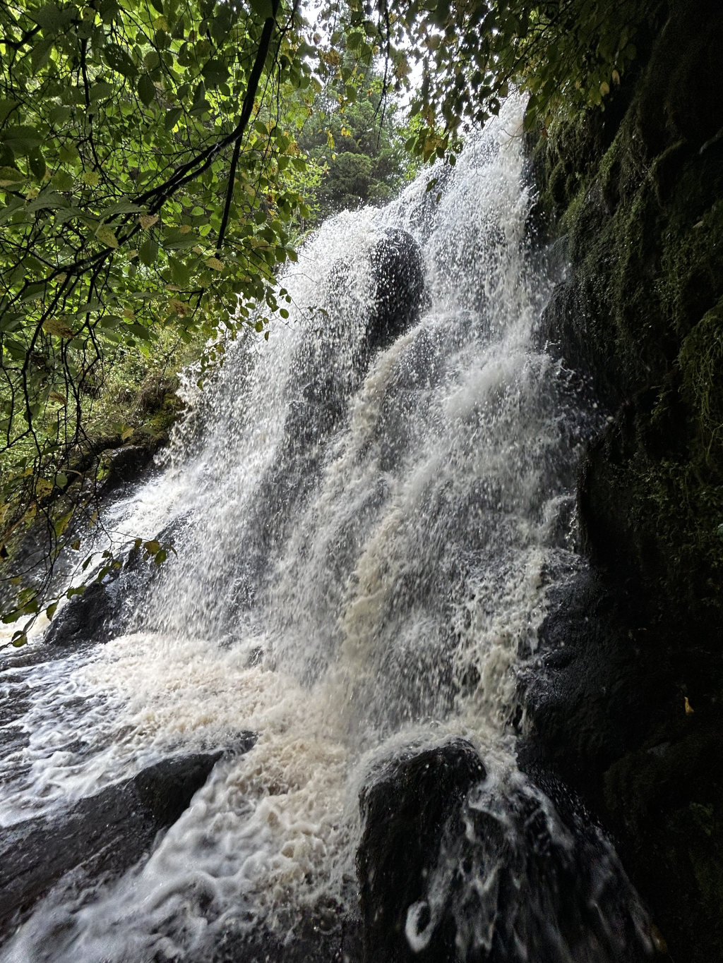 Waterfall cascading down dark rocks. The water is frothy and white where it hits the rocks below. Lush green foliage, partially obscuring the upper part of the waterfall, frames the scene. The overall impression is one of natural beauty and the power of water.