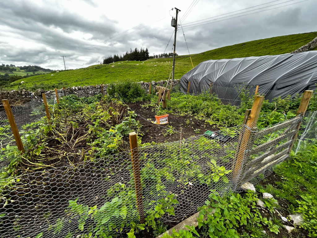 Small, fenced-in garden plot situated on a hillside overlooking a pasture with sheep. The plot contains plants that appear to be harvested, with their stalks and vines visible. A large, black plastic tarp structure is visible in the background, possibly a makeshift greenhouse or storage area. The overall setting is rural and suggests a small-scale farming or gardening operation.