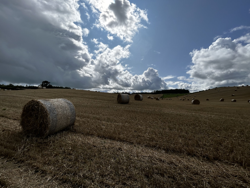 Large, cylindrical bale of hay, positioned slightly off-centre in the foreground. Its texture is rough and slightly uneven, showing the individual strands of straw. The bale's color is a muted gold-beige, with hints of darker brown and gray shadows. Several other smaller, similar hay bales are scattered across the gently sloping field in the mid-ground and background, diminishing in size as they recede into the distance. They appear uniformly cylindrical and share the same muted gold-beige colouration. There is no human presence. The scene is set in a harvested field under a dramatic sky. The field is vast and extends to the horizon, covered in a layer of short, dry, stubble that is a similar, but slightly lighter, beige-brown to the hay bales. The background features a low, rolling hill line with sparse, dark green vegetation. The sky dominates the upper two-thirds of the frame. It’s a dynamic composition of fluffy white cumulus clouds punctuated by brilliant blue sky, particularly concentrated around a bright, but not harsh, sun source near the center of the sky. A larger, darker mass of cumulus clouds hangs over the left side of the frame, giving a sense of impending weather. The light appears soft and diffused, likely mid-day with some cloud cover, casting soft shadows on the hay bales. The overall colour palette is warm and earthy, with the gold and brown tones of the field contrasting sharply with the cool blue and white of the sky.