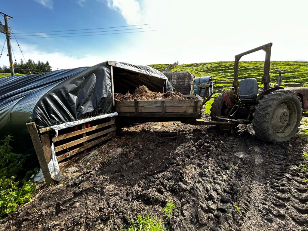Small tractor parked next to a makeshift structure built from wooden pallets and covered with a black tarp. The structure appears to be used for storing or composting hay or straw. The ground is muddy, suggesting recent wet weather.