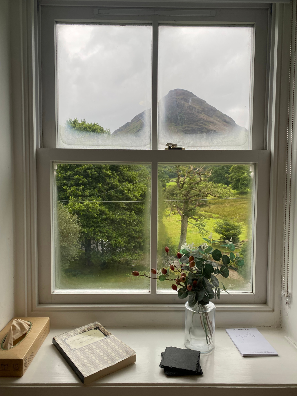 Windowsill with a view of a mountain in the distance. A book and tissue box rest on the sill, along with a small vase of flowers and a notepad. The window is divided into four panes, and condensation is visible on the glass. 