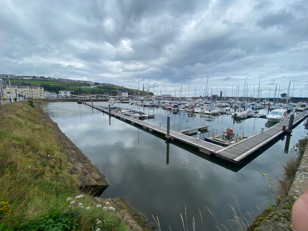 Marina filled with numerous boats of various sizes, moored along wooden docks arranged in a V-shape. The marina is calm, reflecting the overcast sky and surrounding buildings. In the background, there's a town nestled on a hillside, under a cloudy sky. The overall atmosphere is tranquil and slightly muted due to the overcast conditions.