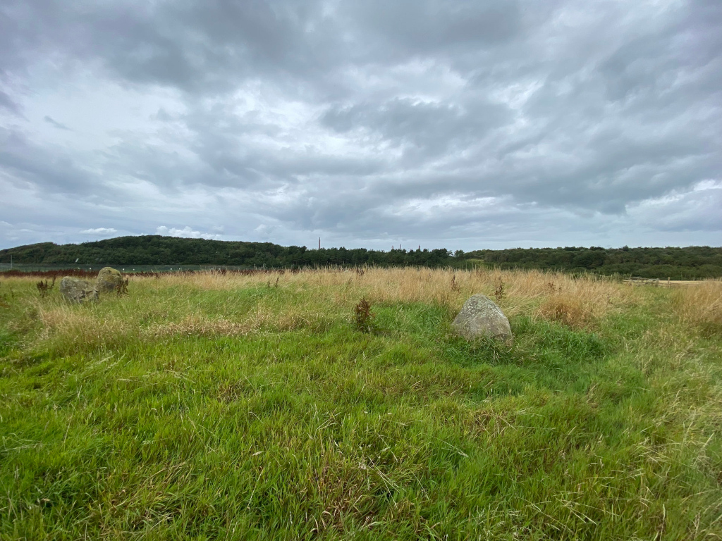Grassy field under a cloudy sky. Several large stones, possibly remnants of a stone circle or similar ancient structure, are partially visible within the tall grass. A line of trees is visible in the distance. The overall mood is somewhat somber or contemplative due to the overcast sky and the somewhat wild, untamed appearance of the field.