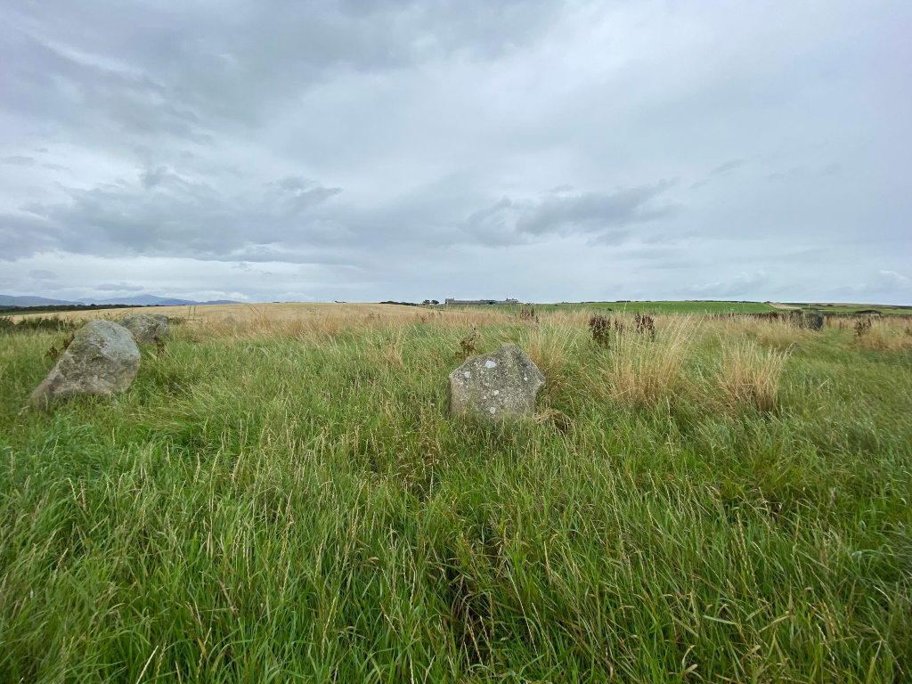 Grassy field with several large stones partially visible. The stones appear to be standing upright, suggesting they may be part of a stone circle or other ancient monument. The grass is tall and somewhat overgrown, obscuring parts of the stones. The background shows a flat landscape under a cloudy sky. A distant building or structure is barely visible on the horizon. The overall impression is one of a remote, possibly historical, site.