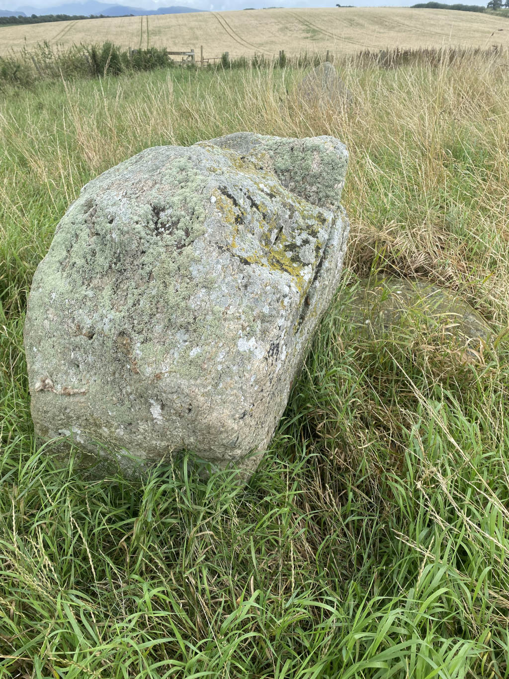 Large, moss-covered boulder resting in a field of tall grass. The background reveals a cultivated field and distant hills. The boulder appears weathered and possibly ancient. The overall impression is one of rural tranquillity and possibly hints at archaeological significance.