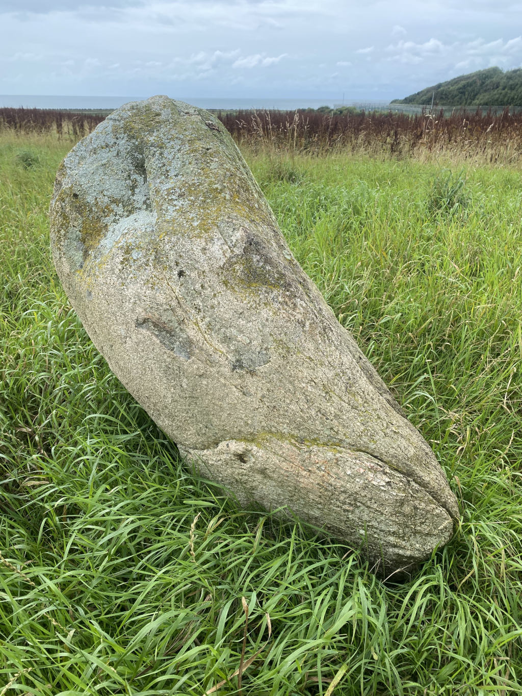 Large, oblong grey rock lying on its side in a field of vibrant green grass. The rock is covered in moss and lichen, giving it a textured appearance. In the background, a body of water and some distant land are partially visible under a cloudy sky.