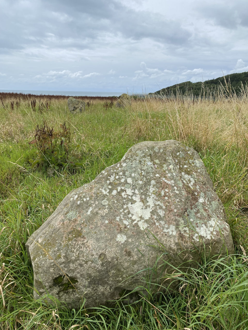 Large, lichen-covered boulder nestled in a field of tall grass. In the background, other smaller stones are visible, suggesting a possible stone circle or ancient site. The distant horizon shows a body of water and a low-lying hillside under a cloudy sky.