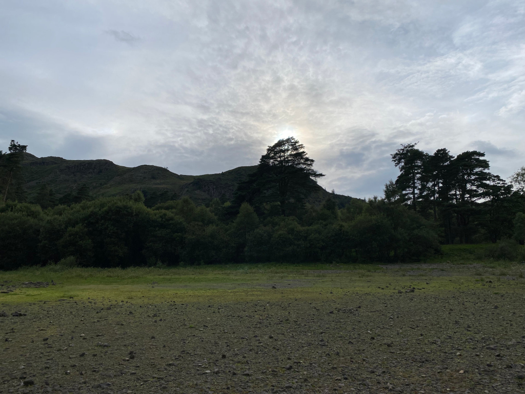 Tranquil landscape. In the foreground is a wide expanse of dry, stony ground. Beyond that is a strip of short, green vegetation. A dense line of dark green trees fills the middle ground, stretching across the entire width of the image. Behind the trees, a range of low, dark hills rises against a pale, cloudy sky. A faint light shines through some of the clouds, near the centre of the image, above the taller trees.