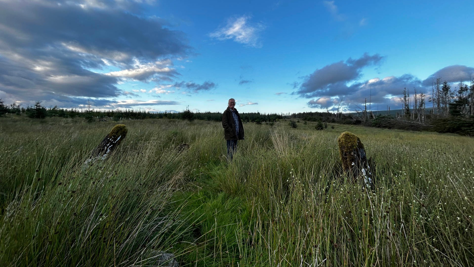 Charlie standing in a grassy field under a partly cloudy sky. The field appears to be relatively wild, with tall grass and some small flowering plants. There are also a couple of moss-covered, weathered stone or wooden posts partially visible in the tall grass. In the distance, there's a line of trees. The overall mood is serene and somewhat melancholic.