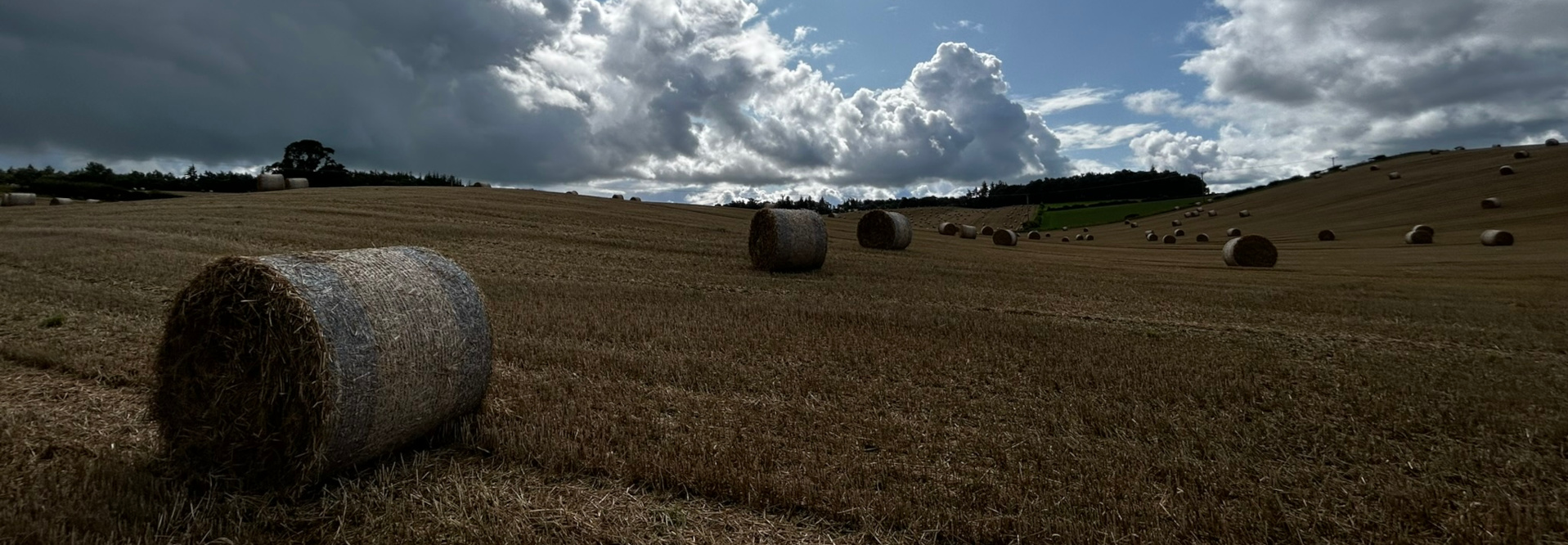 Vast field of harvested crops, dotted with numerous round hay bales. The bales are scattered across gently rolling hills, creating a picturesque rural landscape. The sky is filled with dramatic, dark clouds, contrasting with patches of bright sunlight, adding depth and texture to the scene. The overall impression is one of a peaceful, yet powerful, agricultural setting.