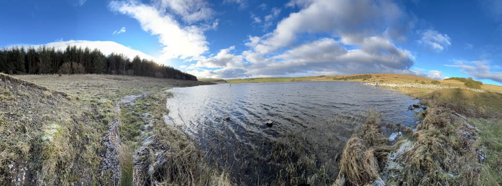 Placid, rippling lake that dominates the central portion of the panoramic view. The water is a dark, cool grey-blue, reflecting the subtle light of the sky. The lake's edge is lined with patches of dry, tan and brown grasses and reeds, some touched with a light dusting of frost, suggesting a cold, possibly early morning or late autumnal setting. The far side of the lake shows a gentle, rolling hillside with sparse vegetation, mostly muted browns and greens. A dark coniferous forest sits on the left side of the image near the foreground, forming a clear boundary with the grassland. There's a low, man-made stone wall visible on the right bank of the lake in the mid-ground. No people or animals are present.