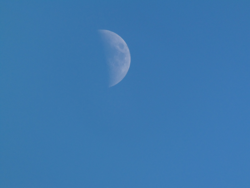 Waxing crescent moon, about a third full, is the central focus. It's positioned slightly off-centre, towards the left, and hangs serenely in the sky. Its surface shows subtle textural variations, hinting at craters and shadows, although the details are not sharply defined. It is not moving in the frame.  The sky dominates the image, a deep, clear, and uniform blue that stretches from edge to edge, suggesting a cloudless day or night. The colour is a consistent, saturated blue, without gradations of lightness or darkness. The light is even, without harsh highlights or shadows.