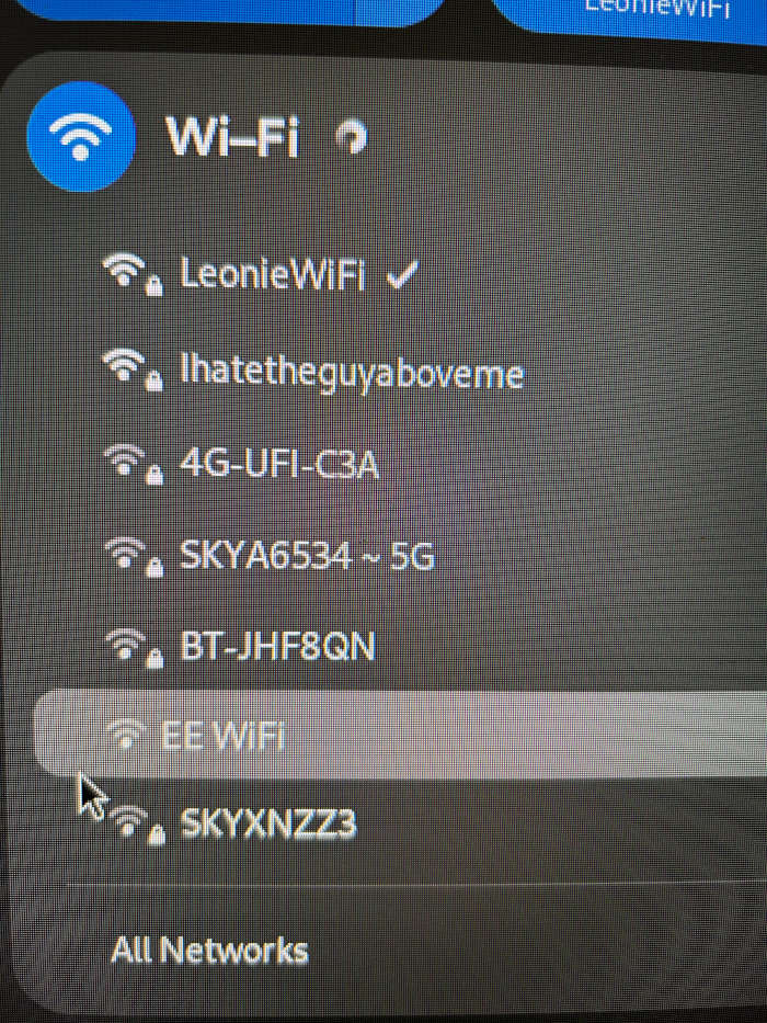 Close-up view of a computer or mobile device screen displaying a Wi-Fi network selection menu. The dominant element is a list of available Wi-Fi networks, each represented by a small icon of a wireless signal followed by the network name. The networks are: Leonie WiFi (selected), Ihatetheguyaboveme, 4G-UFI-C3A, SKYA6534 ~ 5G, BT-JHF8QN, EE WiFi (highlighted), and SKYXNZZ3. A lock icon indicates password-protected networks. At the bottom, All Networks is visible. A small cursor or pointer is visible hovering over EE WiFi, suggesting interaction. The top of the screen shows the Wi-Fi label with a power icon next to it.
