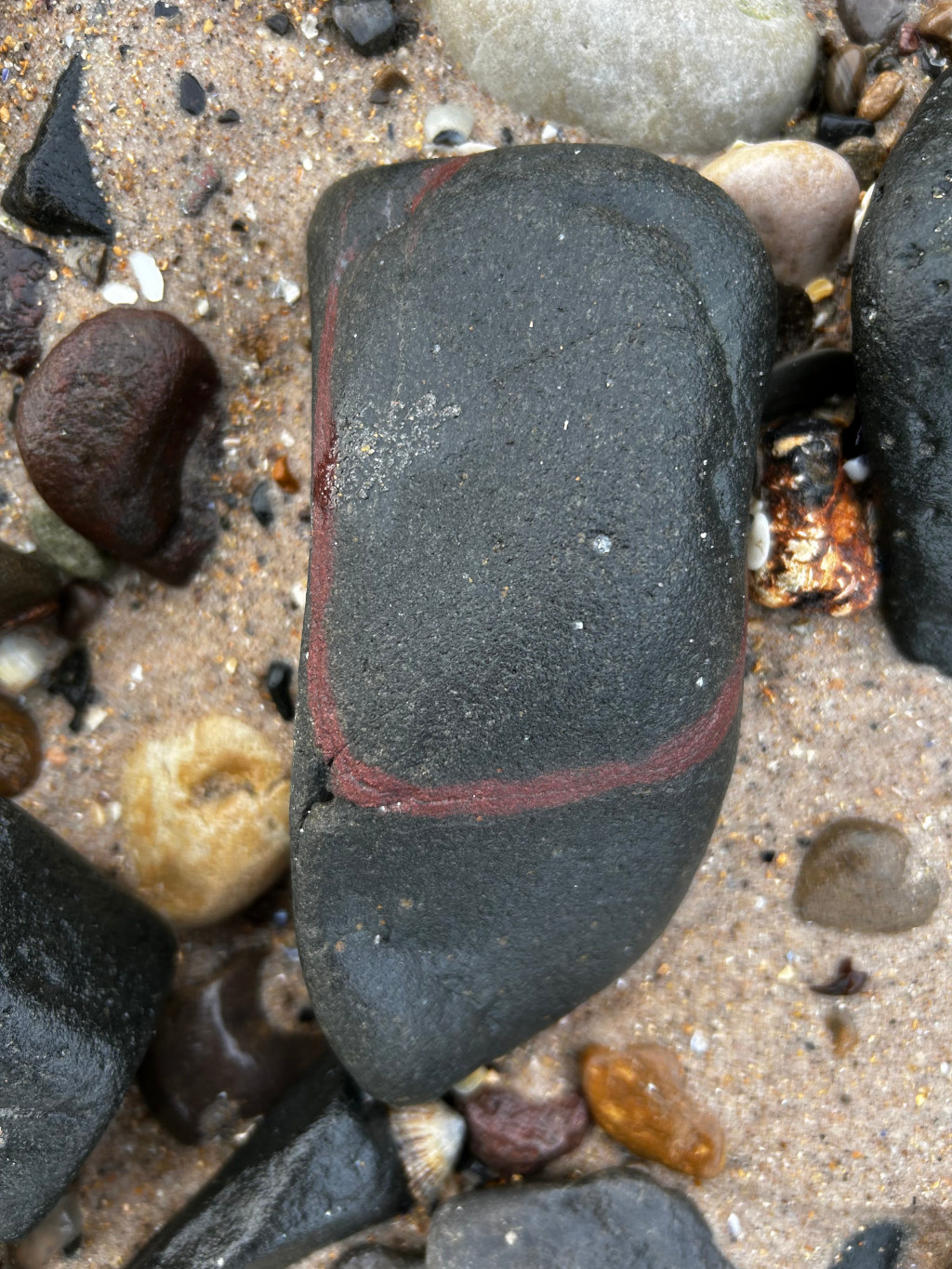 Dark grey, almost black, smooth, water-worn rock. It's roughly oblong, slightly curved, and possesses a striking feature: a reddish-brown, almost maroon, line that resembles a roughly drawn rectangle or square on its surface.  This line is not uniform in width or intensity, suggesting natural weathering or staining rather than deliberate marking. The rock is positioned slightly off-centre, leaning towards the left of the frame. Surrounding this main rock are numerous other smaller stones and pebbles of various shapes, sizes, and colours. These include lighter beige and tan stones, deep reddish-brown ones, dark grey and black pebbles similar to the main rock but smaller, and some that appear rusty or oxidised. A few small seashells are also visible nestled amongst the rocks. 
