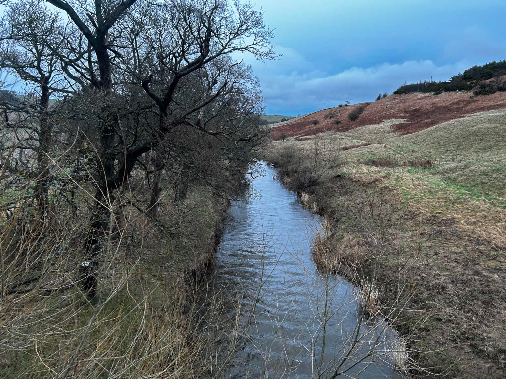 Slender, meandering river, its water a muted greyish-blue, reflecting the overcast sky. The river flows from the background towards the viewer, subtly curving to the right. Bare, winter trees line both banks of the river, their branches stark against the muted colors of the landscape. The trees are predominantly dark brown and gray, with a few wisps of lighter brown suggesting dried-out twigs and leaves. The banks are composed of a mix of dried grasses, patches of pale green, and some reddish-brown earth showing through, particularly on the elevated hill in the background.  No people or animals are visible. The scene is a rural landscape, possibly a valley, under a cloudy, overcast sky. The sky is a pale, muted blue, almost devoid of vibrant color, creating a sense of subdued light. The background features a gently sloping hill, its surface a mottled mix of dried grasses, predominantly light green and brown, with patches of deeper reddish-brown earth exposed. This hill rises softly from the riverbank.