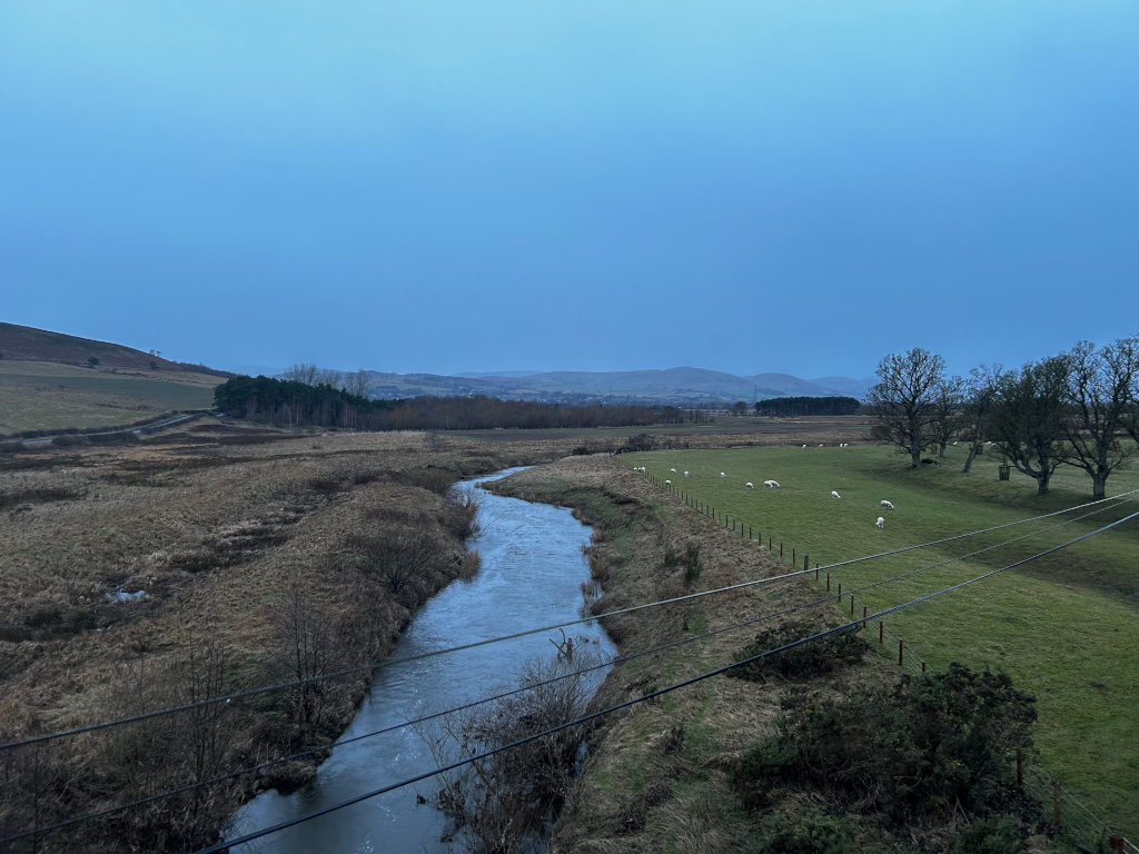 Meandering stream, a muted greyish-blue, flowing from the middle ground towards the lower third of the image. Its banks are lined with sparse, winter-brown vegetation, some low shrubs and bare branches, creating a textured edge. A low fence runs parallel to the stream on its right bank, separating it from a pasture where a small flock of white sheep are peacefully grazing. The sheep are scattered, not huddled, suggesting a calm, unhurried scene. Power lines run diagonally across the image, from the upper right to the lower left, subtly weaving through the landscape.