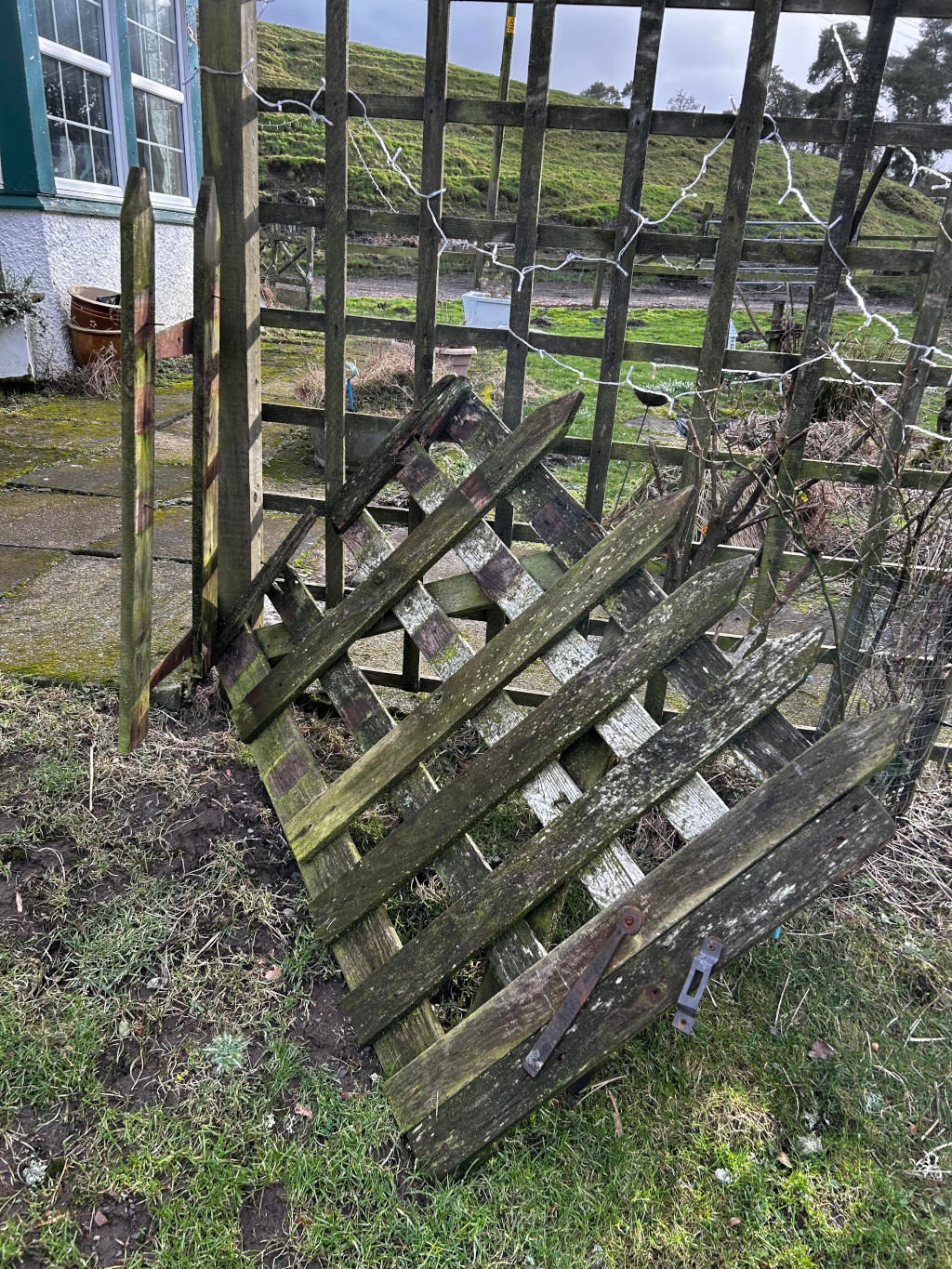 Dilapidated, moss-covered wooden gate, lying broken and at a sharp angle on the ground. Its dark brown wood is heavily weathered, showing streaks of faded gray and a thick growth of green moss, particularly in the crevices. The gate's lattice pattern is visible, its individual slats showing signs of age and decay. A rusty, old-fashioned metal latch is still affixed to one of the lower horizontal planks. The gate appears to have been broken away from its hinges and is strewn haphazardly. Adjacent to the fallen gate stands a section of a sturdy wooden fence, forming a trellis-like structure. This fence is a lighter brown, also showing some weathering but less moss than the fallen gate. Two upright posts of a separate, smaller fence are also seen partially obscuring the view of the house. A weathered terracotta flower pot is visible near the base of the house.