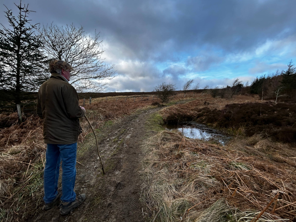 Charlie appearing middle-aged, with light brown, slightly wavy hair that's slightly windblown. He's positioned slightly off-centre, toward the left, facing away from the viewer, towards a muddy path. He's wearing a dark olive-brown, slightly worn-looking, knee-length jacket, blue jeans, and sturdy, dark brown hiking boots. His posture is relaxed yet attentive, suggesting a thoughtful observation of his surroundings. He holds a simple, rustic-looking walking stick, made of light-coloured wood, in his right hand. The scene is a desolate yet beautiful moorland landscape, possibly in the British Isles, under a sky that shifts from a brooding, dark grey-blue in the upper left to a paler, slightly clearer blue towards the horizon. The light is diffused, suggesting either an overcast day or the soft light of dusk or dawn, casting few harsh shadows. The colors are predominantly muted earth tones. The foreground is composed of dry, brownish-gold grasses and bracken, interspersed with patches of darker, almost black heather. A small, still pool of reflective water, mirroring the sky, lies beside the path. In the mid-ground, a muddy, uneven track winds through the landscape. In the background, the low hills are covered with a mix of low-lying shrubs and a few scattered, wind-swept trees, hinting at the exposure of the location. Some taller, dark green evergreen trees are visible on the left and in the far background. The overall color palette is a blend of browns, muted greens, greys, and the subtly changing blues of the sky.