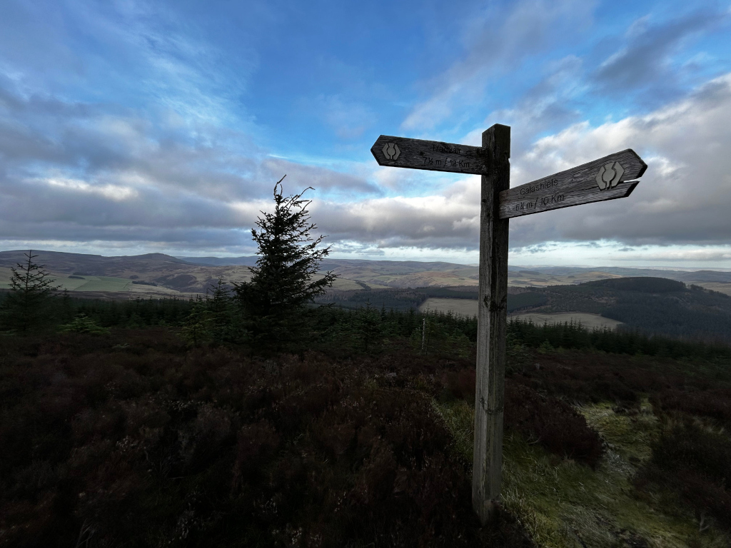 Rustic wooden signpost, weathered and deeply textured, standing proudly on a hilltop. Two arms extend from the post, each displaying hand-carved directional markers with distances inscribed: Peaslair 7½m/12km on the upper arm and Galashiels 6km/10km on the lower arm. The signpost is firmly planted in the earth, suggesting permanence and guidance. No people are present. A solitary, dark green pine tree stands prominently near the signpost, acting as a natural frame. The ground is covered in low-lying, dark heather and scrub, typical of upland moorland. The setting is a vast, undulating landscape of Scottish highlands. Rolling hills stretch to the horizon, clad in a patchwork of dark evergreen forests and lighter brown moorland, creating a soft texture of tones. The sky is a dramatic blend of cerulean blue punctuated by thick, textured clouds, mostly white and grey, conveying a sense of depth and vastness. The lighting suggests late afternoon or early evening; a soft, diffused light bathes the scene, with shadows lengthening across the heather, enhancing its deep purple-brown hues.