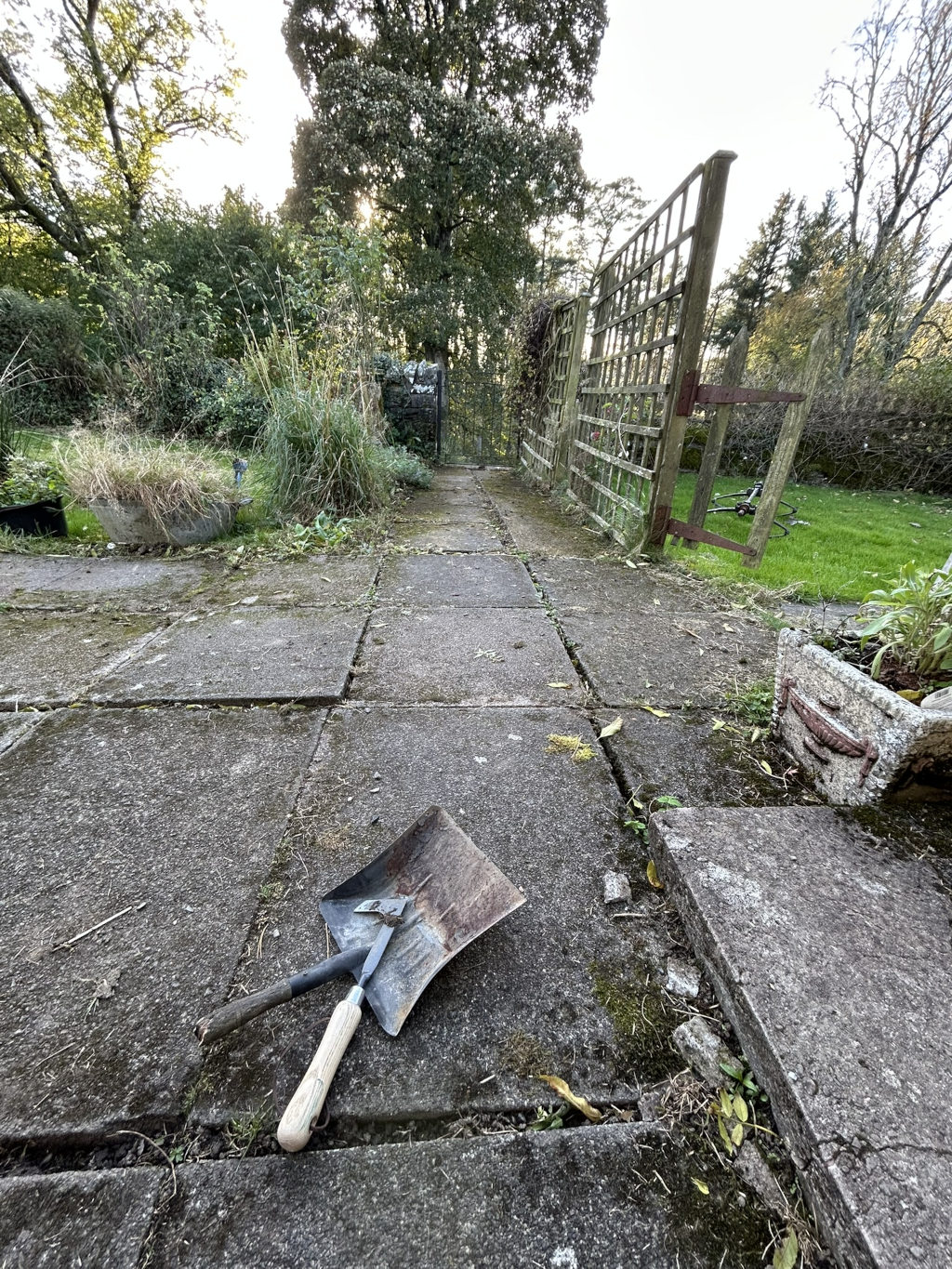 Garden path made of weathered grey paving stones. A small, rusty shovel and a hand tool rest upon the path. Weeds and moss grow between the stones, and a broken wooden trellis leans against overgrown vegetation.