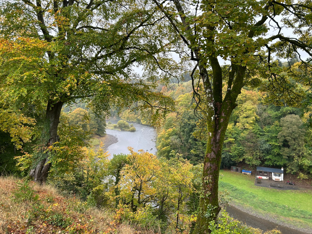 Scenic autumnal view overlooking a river. Two large trees frame the foreground, partially obscuring the view of a meandering river flowing through a lush valley. The trees in the valley show varying shades of green and yellow, indicative of the fall season. A small cabin is visible on the riverbank in the lower right corner.