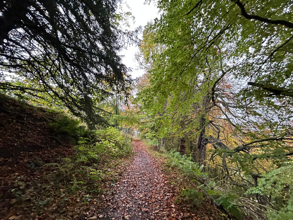 Pathway winding through a wooded area. The trees along the path are mostly deciduous, with some showing autumnal colours of yellow and orange, while others retain their green leaves. The path is covered in fallen leaves, suggesting it's autumn.