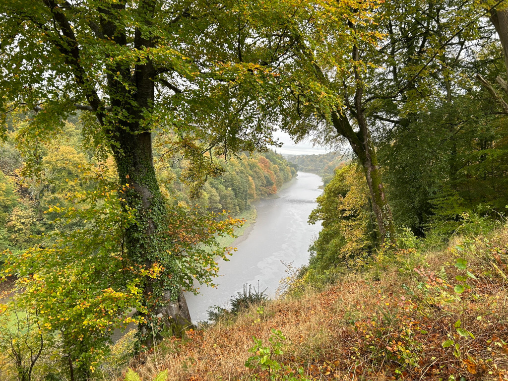 Picturesque autumnal scene. From an elevated vantage point, a river winds its way through a valley, flanked by lush green and yellow-tinged trees displaying the vibrant colours of fall foliage. The viewer's perspective is framed by two large trees in the foreground, their branches partially obscuring the view but adding depth and a sense of peaceful seclusion to the scene.