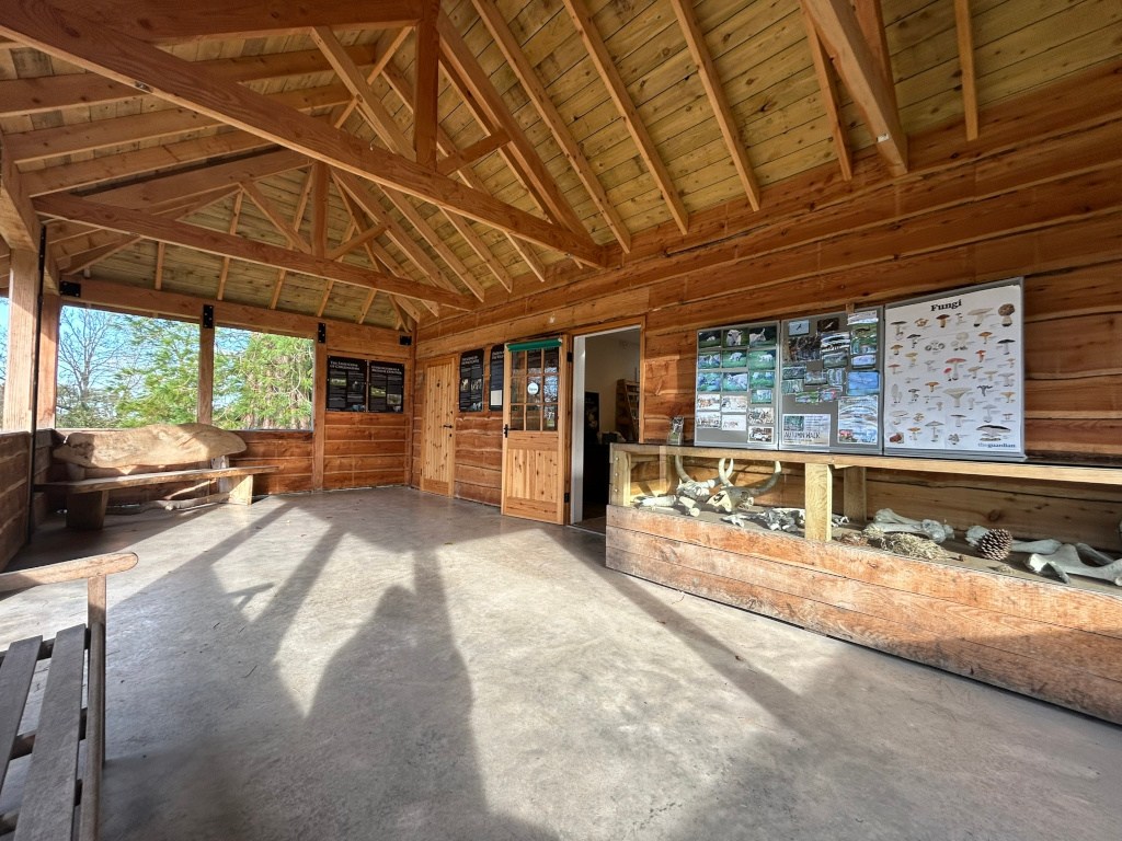 Interior of a rustic wooden structure, possibly an information centre or visitor's shelter in a nature reserve. The building is made of natural wood with a high, exposed beam ceiling. There's a concrete floor, and several informational displays are visible, including one showcasing fungi. A glass-fronted cabinet displays various natural specimens, possibly bones or fossils. Simple wooden benches are also present. The overall atmosphere is calm and natural.