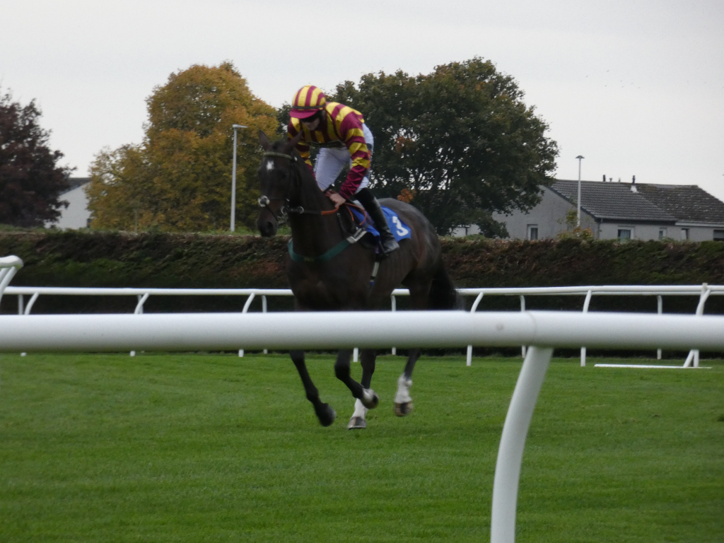 Horse race in progress. A jockey, wearing a maroon and yellow jacket, is riding a dark brown horse over a hurdle on a grass track. The background includes trees and houses, suggesting a countryside setting. The focus is on the horse and jockey as they approach what seems to be a jump in the race.