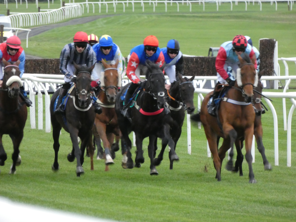 Horse race in progress. Several horses and jockeys are seen in the midst of a close contest, nearing the finish line. The focus is on the group of horses, with the background showing a racecourse with fences and a grassy area.