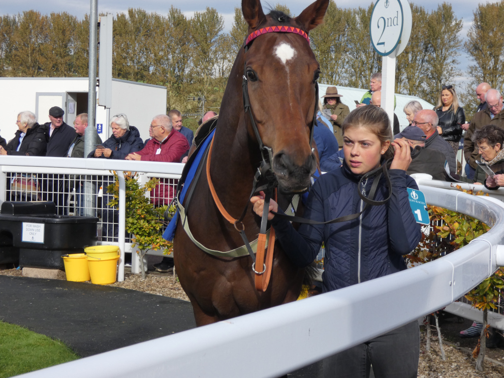 Young woman, possibly a jockey, standing next to a brown racehorse at what appears to be a racetrack. She is holding the horse's reins and appears to be waiting or preparing for a race. A small number 1 is visible on her jacket, suggesting she may be associated with a particular horse or stable. In the background, a number of spectators are visible, watching the activity. The overall setting suggests a horse racing event.