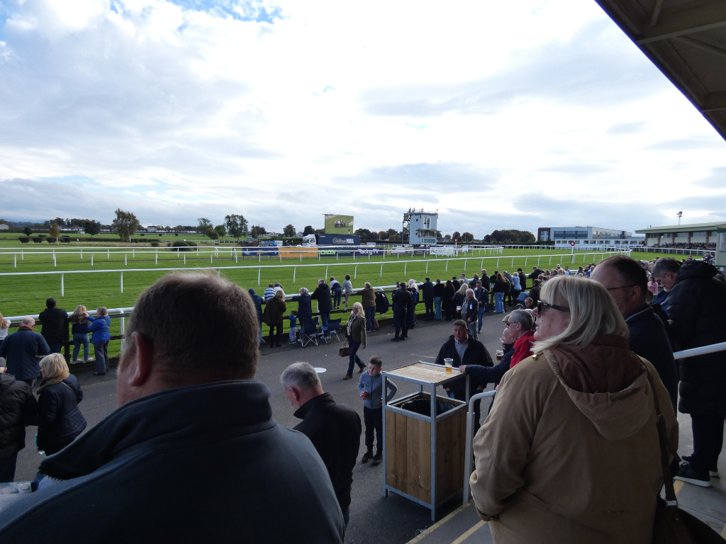 Crowd of people watching a horse race at a racetrack. The spectators are standing along a fence, looking towards a grassy track with white barriers. In the background, there is a large screen displaying race information, some buildings associated with the racetrack, and a partly cloudy sky. The overall atmosphere appears to be one of casual outdoor leisure and sporting event observation.