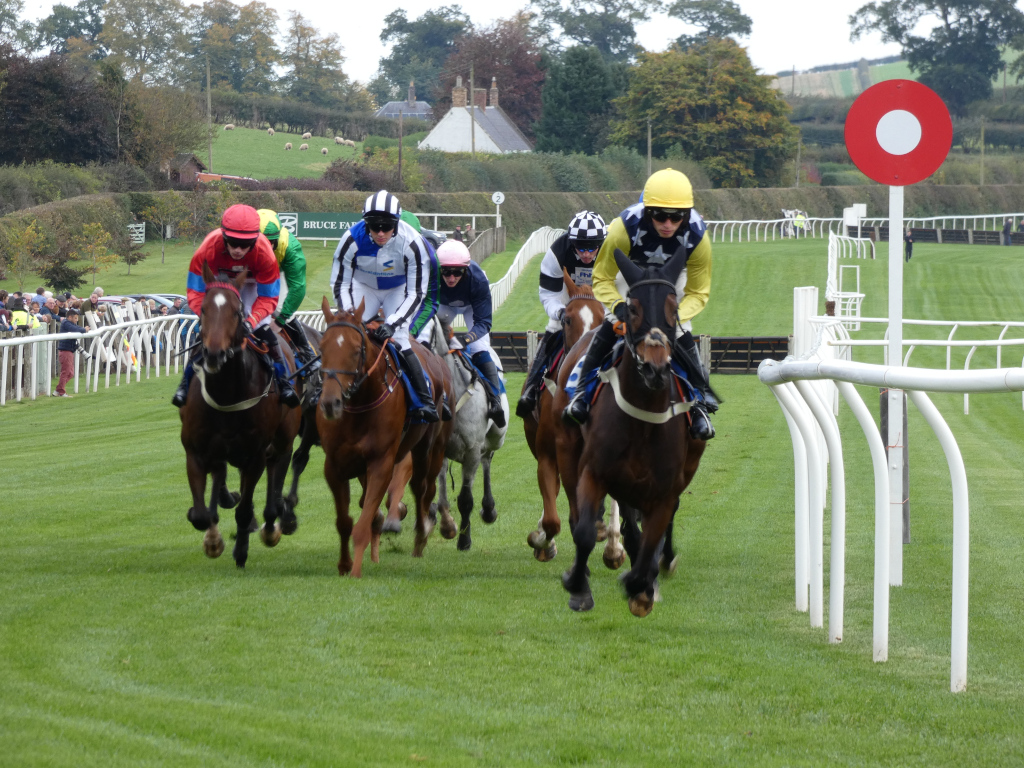 Horse race in progress. Five jockeys on horseback are approaching the finish line, close together in a tight pack. Spectators are visible in the background, along with the racecourse fencing and signage. The focus is on the horses and riders, capturing the intensity and excitement of the race.