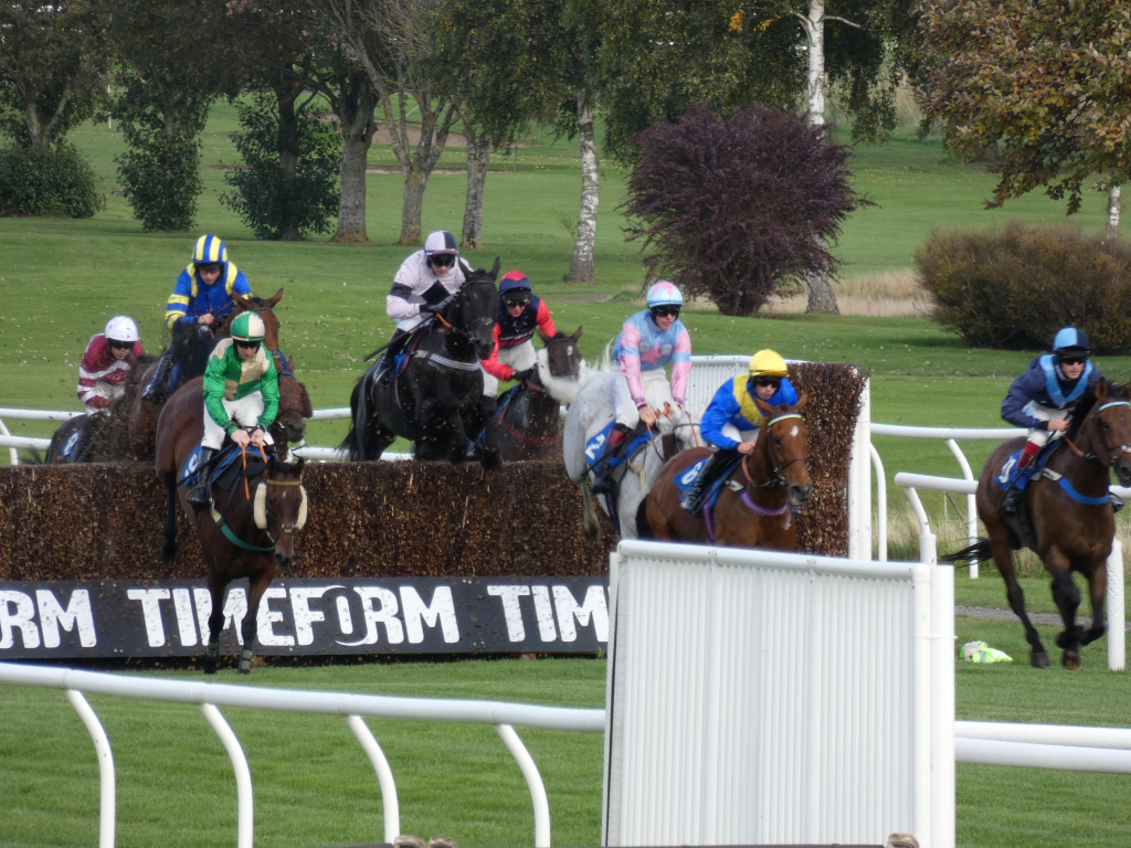 Horse race in progress. Several jockeys on their horses are in the midst of jumping a hurdle. The focus is on the horses and riders as they navigate the obstacle, with the background showing a green field and trees. A banner with the partially visible words RM TIMEFORM TIM is present near the base of the hurdle. The overall impression is one of dynamic action and competition.