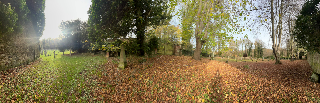 Panoramic view of a section of a graveyard. The foreground and much of the mid-ground are covered in a thick layer of fallen autumn leaves, a predominantly brown and gold colour. Several gravestones and monuments are interspersed among the leaves and trees. On the left, a high, old stone wall runs alongside the path. The path itself is grassy and leads away from the camera through the graveyard. On the right, a line of tall, slender trees stands, making a visual separation between the foreground and the background.