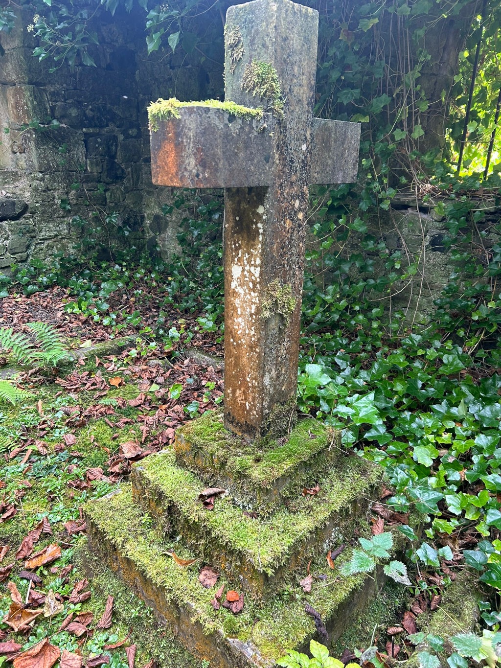 Weathered stone cross, heavily covered in moss, situated in a graveyard. The cross sits atop a tiered, moss-covered base. The surrounding area is overgrown with ivy and fallen leaves, suggesting a state of age and neglect, contributing to a sombre and possibly forgotten atmosphere.