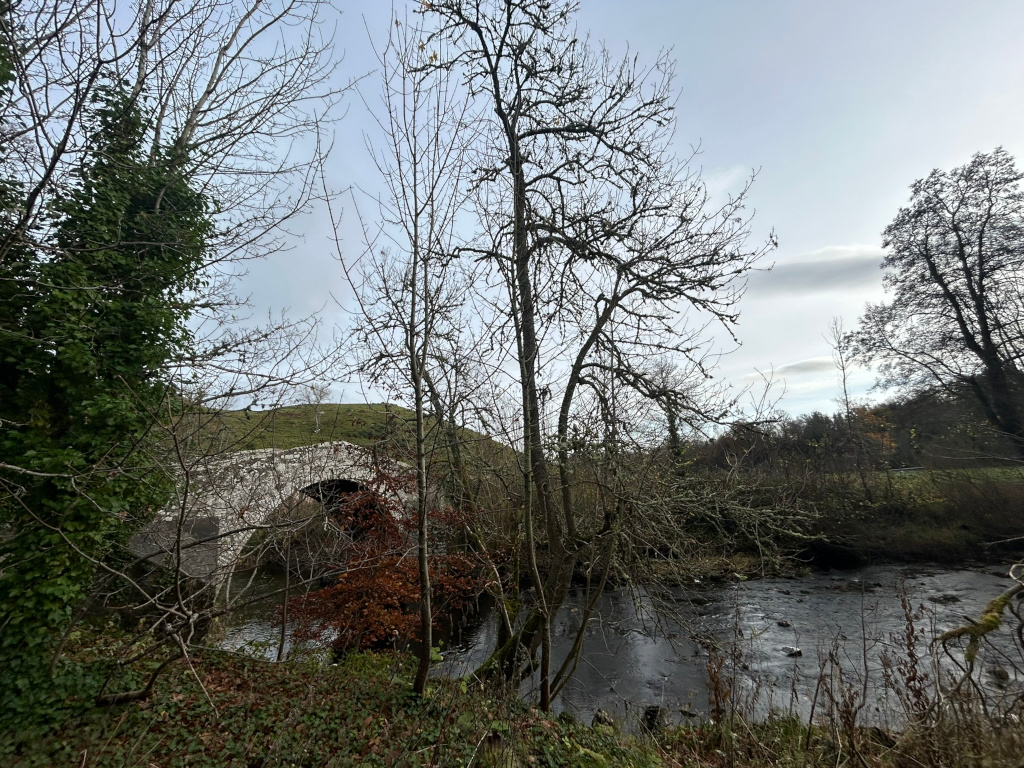 Stone arch bridge spanning a calm river. The bridge is partially obscured by leafless trees and shrubs, many of which are bare, suggesting it might be autumn or winter. A small hill or mound is visible behind the bridge. The overall scene is peaceful and somewhat muted in colour, reflecting a cold, possibly overcast day.