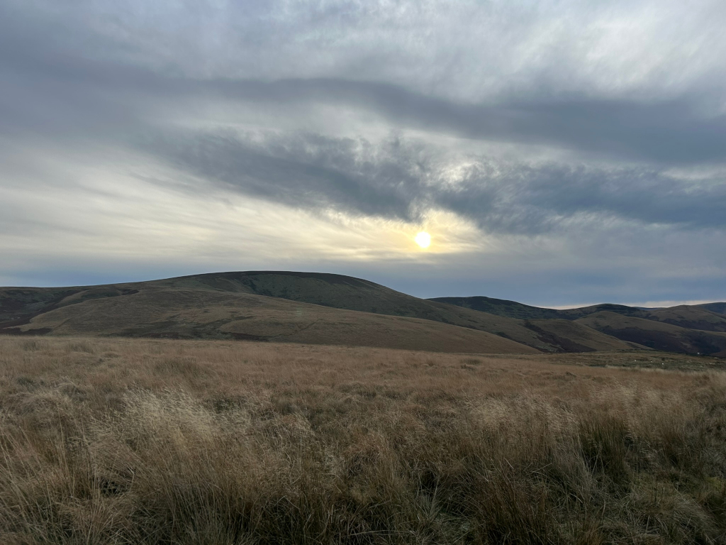 Tranquil landscape, likely a moorland or upland area. The foreground is dominated by tall, dry grasses swaying gently. In the mid-ground and background are rolling hills, their surfaces a mix of muted browns and greens. A partially obscured sun shines through a layer of thin, grey clouds that stretch across most of the sky.