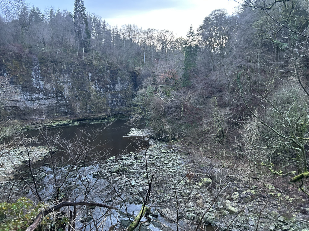 High-angle, long shot of a rocky riverbed with a dark, still pool of water. The river is nestled within a deep gorge or ravine. The sides of the gorge are densely wooded with bare deciduous trees and some evergreens, suggesting it's likely winter or late autumn. The overall colour palette is muted greys, browns, and dark greens. The scene evokes a sense of wild, secluded nature.