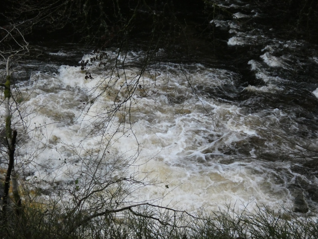 Turbulent river viewed from above. The water is a mix of dark brown and white froth, suggesting a fast current and possibly a rocky riverbed. Bare, dark-coloured branches of trees and shrubs frame the scene in the foreground, partially obscuring the view of the water. The overall impression is one of a wild and somewhat rugged natural landscape.